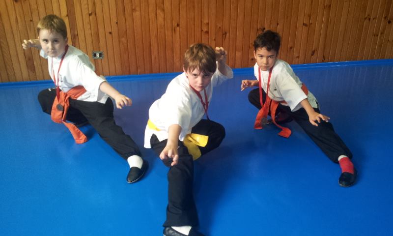 NIÑOS PRACTICANDO KUNG-FU DI SOM